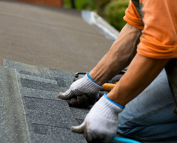 Best Shingle Roofing Installation  in Trenton, FL